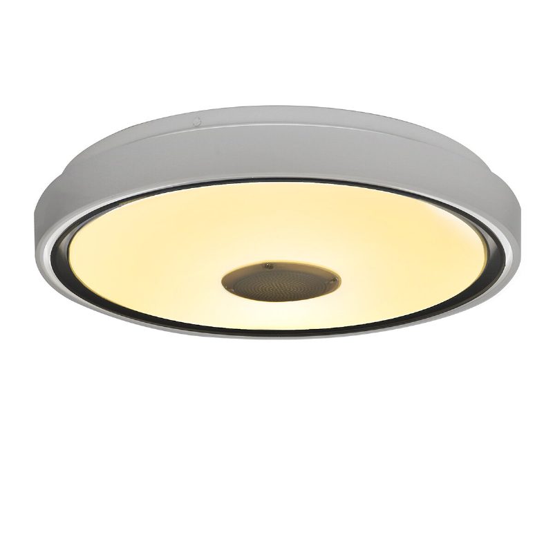 36w/60w 110/220v 40cm Led Rgb Hudobná Stropná Lampa Wifi App Diaľkové Ovládanie Inteligentné Stropné Svietidlo Domácej Spálne