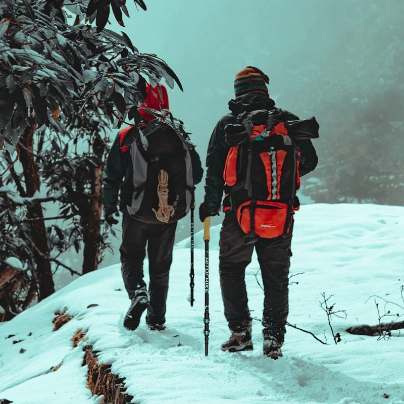 Trekingové Palice Turistická Skladacia Palica Nordic