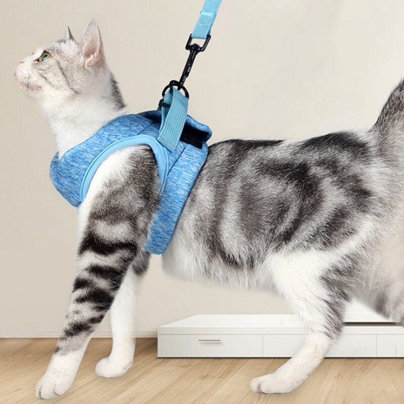 Mačací Postroj Escape Proof Cat Vesta Vodítko