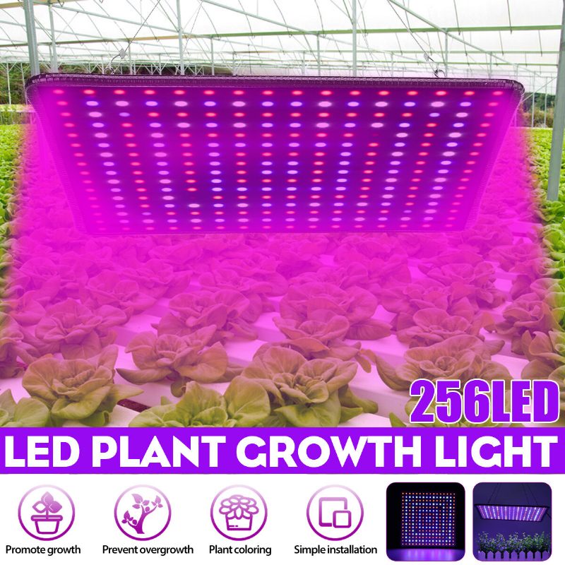 5000w Led Full Spectrum Plant Uv Light Rastlinná Lampa Na Pestovanie Zeleniny Vnútorná Hydroponická