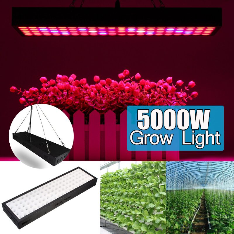 5000w Led Pestovateľský Svetelný Pás S Hydroponickým Plnospektrálnym Panelom S Rastlinnými Kvetmi