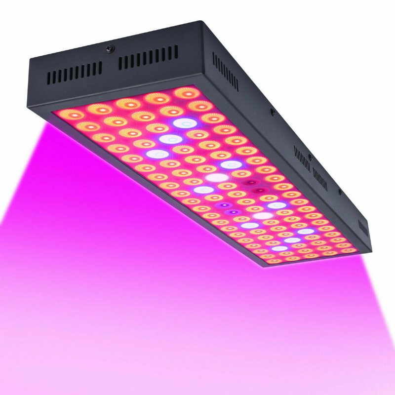 5000w Led Pestovateľský Svetelný Pás S Hydroponickým Plnospektrálnym Panelom S Rastlinnými Kvetmi