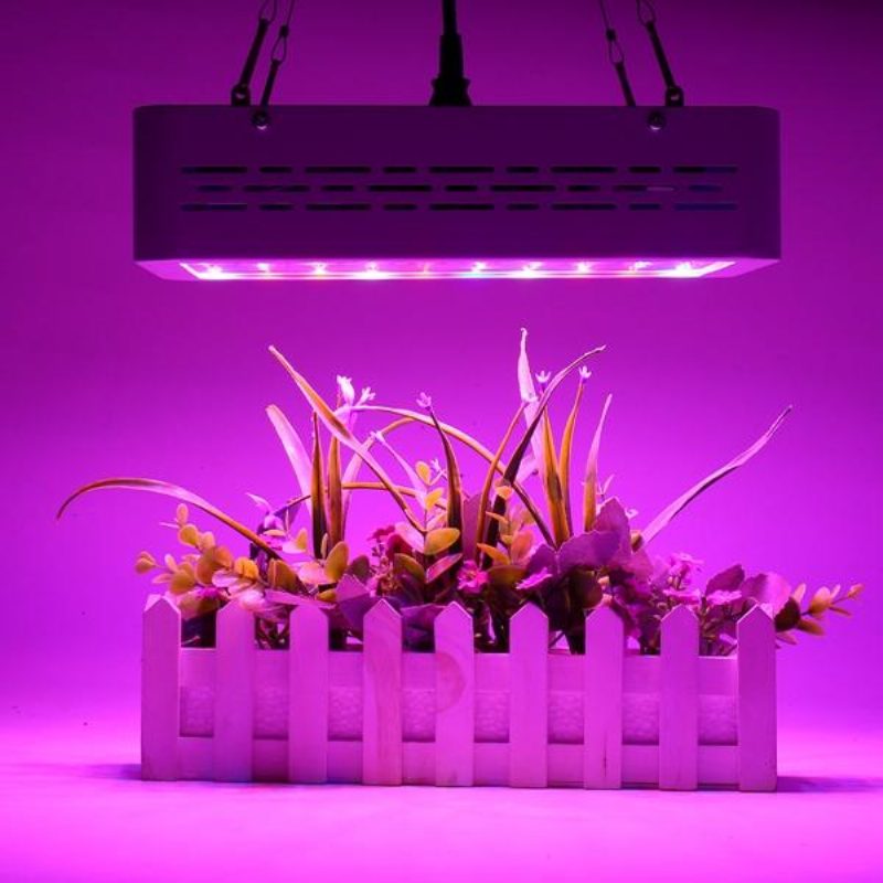 50w Full Spectrum Led Grow Light Hydroponická Izbová Lampa Na Pestovanie Zeleniny