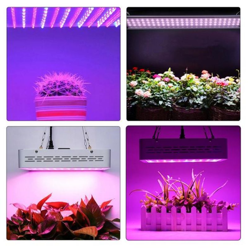 50w Full Spectrum Led Grow Light Hydroponická Izbová Lampa Na Pestovanie Zeleniny